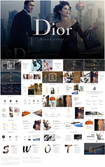 Dior品牌营销推广商业计划书