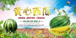 黄心西瓜