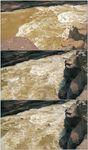 黄河水