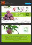 三华李名片