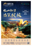 地产 金色 园林 绚丽 夜景