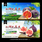 无花果