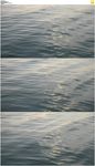 平静的海面泛着阳光