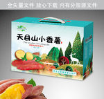 天目山小香薯平面展开图