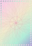 华美缤纷 特约证书纹