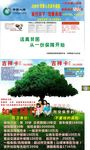 中国人寿意外险展板