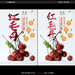 红毛丹宣传海报