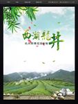 西湖龙井