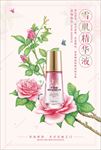 精华液广告