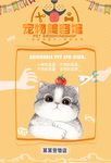 宠物海报