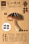 香菇促销宣传海报