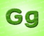 绿色草地英文Gg