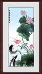 荷花鱼