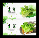 生菜