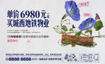 样板间开放牵牛花