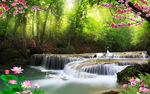 森林瀑布潭水花朵唯美自然风景