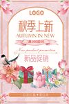 秋季上新