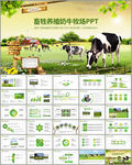 草原畜牧业奶牛养殖乳业PPT