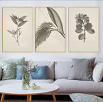 欧简约植物叶子花卉树叶无框画