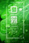 二十四节气白露海报