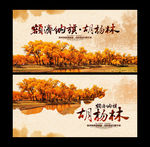 额济纳 胡杨林