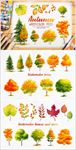 秋季树木手绘水彩画