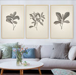 欧式复古植物装饰画树叶无框画
