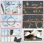 手绘蒲公英水彩画