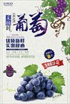 葡萄海报