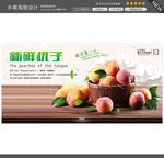 桃子图片