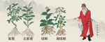 中医药