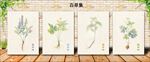 本子封面 花草