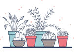 精致矢量盆栽绿植插画图片