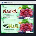 红提