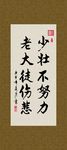 少壮不努力 老大徒伤悲 书法