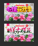 木槿花