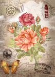 欧式花卉装饰画