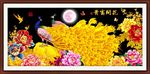 孔雀牡丹