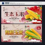 玉米