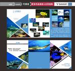 海洋馆 海洋三折页