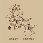 小青柑