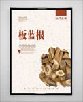 板蓝根