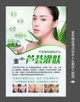 芦荟灌肤疯狂的芦荟海报