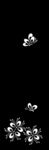 门图