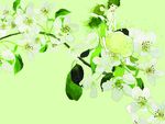 手绘花上浪漫