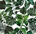 热带叶子植物图案设计