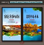 胡杨林