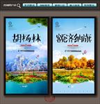胡杨林