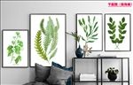 北欧简约小清新绿色植物装饰画