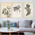 现代简约手绘植物叶子装饰画